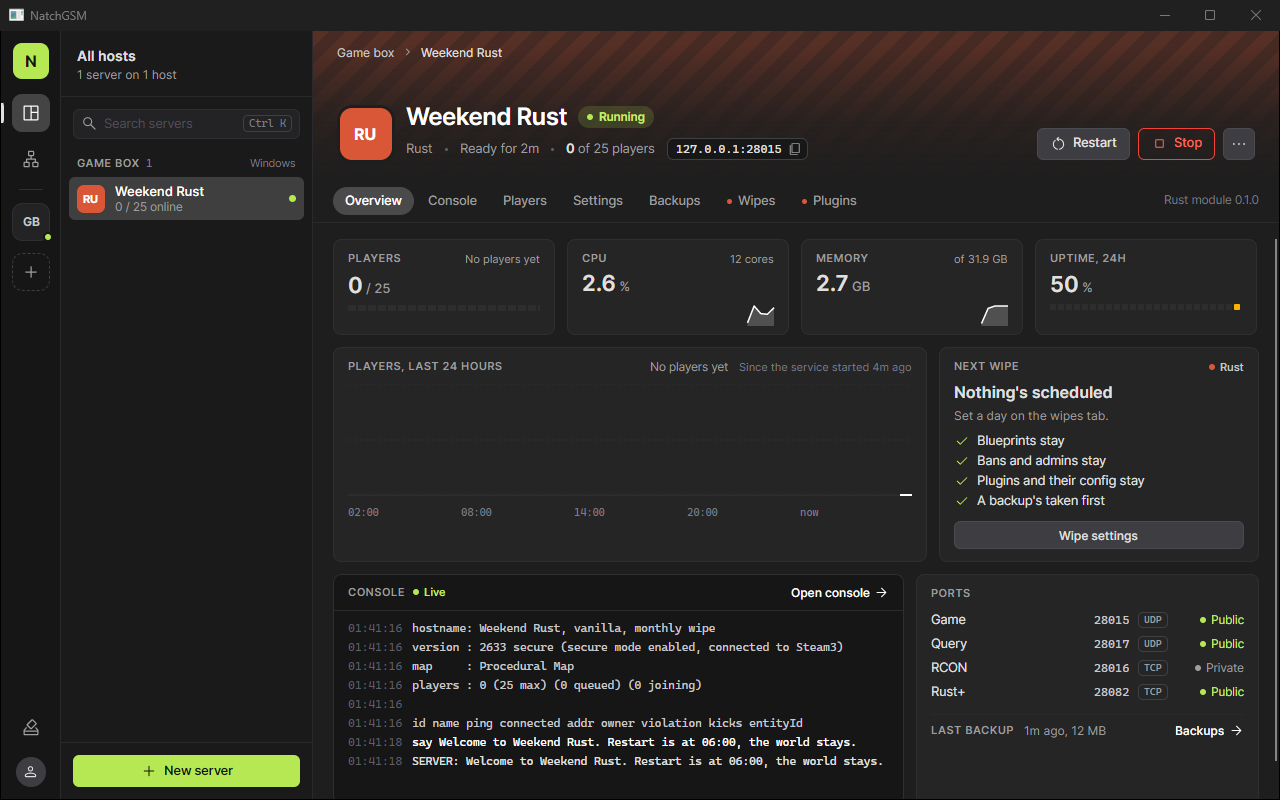 NatchGSM showing a running Rust server with player, CPU and memory panels, the live console and its ports